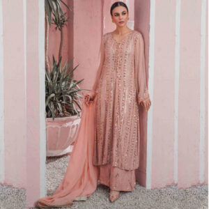 Peach Georgette Palazzo Pant Trouser Suit for Eid