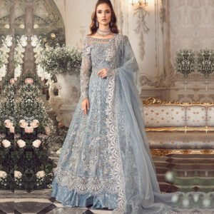 Pakistani Indian Women Pure Organza Maxi Suit