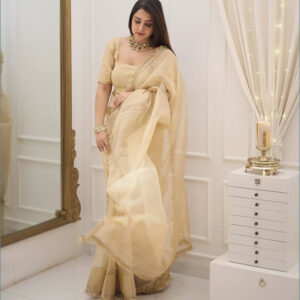 Aarvi SoftGlow Organza Saree with Gotapati Lace