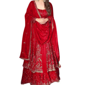 Black Crunchy Silk Lace Embroidery Work Red Colour Gown