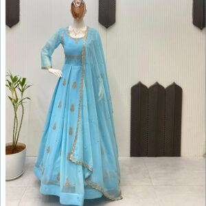 Sky Blue Georgette Embroidery Work Gown3